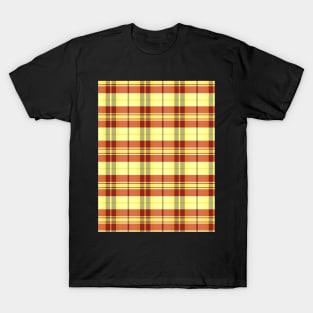 Sunset and Sunrise Aesthetic Arable 1 Hand Drawn Textured Plaid Pattern T-Shirt